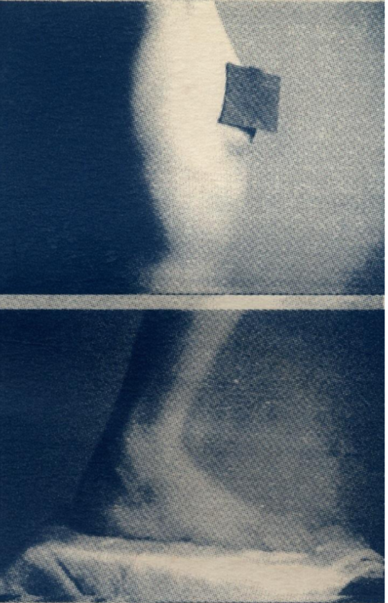 Тетяна Гершуні, Кирило Чичкан. Порівняльна анатомія. 1995. Ілюстрація з каталогу Bar-bar-ost