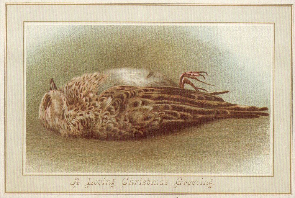 Різдвяна листівка з мертвою пташкою