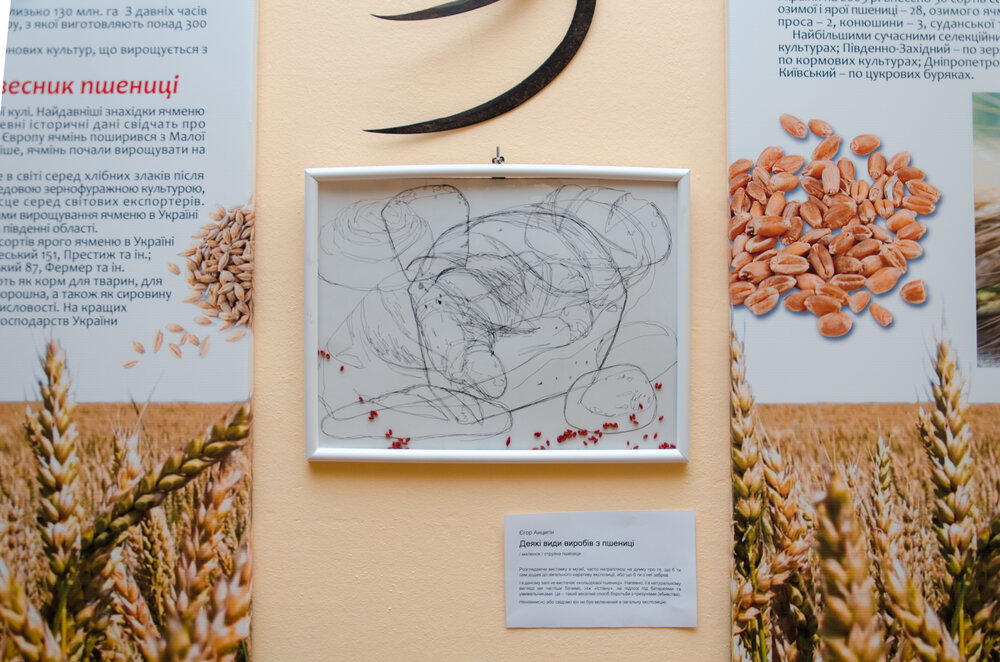 «Деякі види виробів з пшениці» Єгора Анцигіна. Світлина: Анастасія Діденко